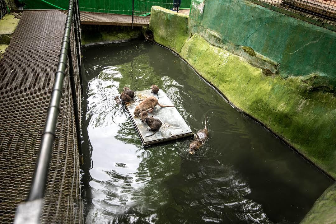 Zagreb ZOO