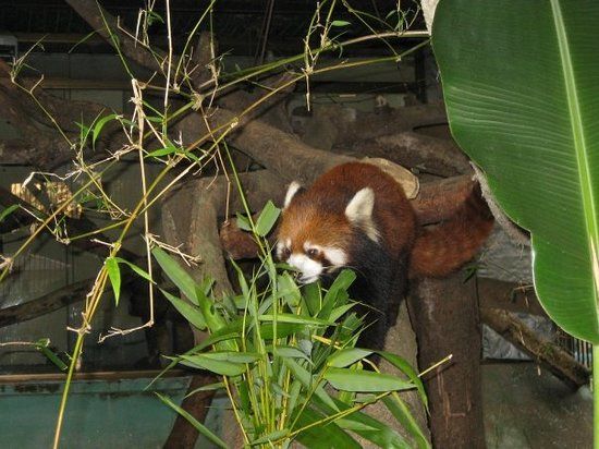 Jardin zoologique de Rangoun