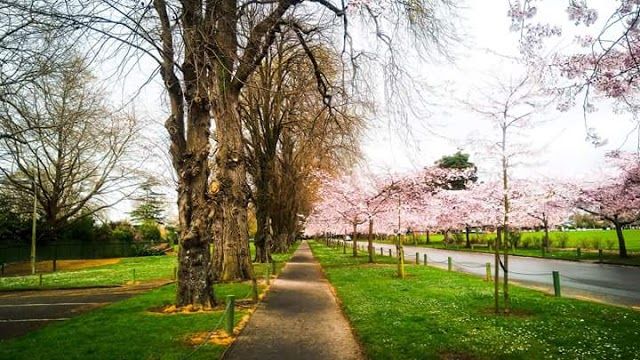 Victoria Esplanade