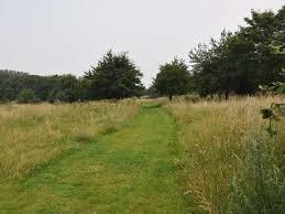 Waterloo Meadows
