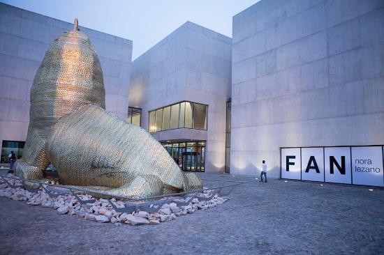 Museo MAR