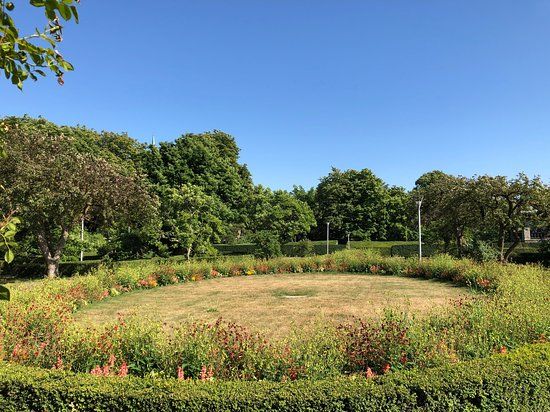 Rosenträdgården